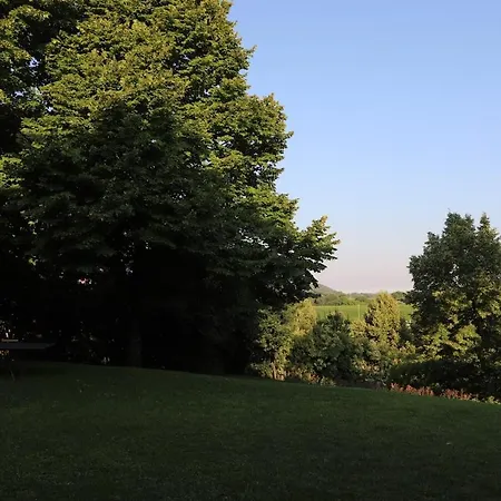 Il Metrone, Accogliente A